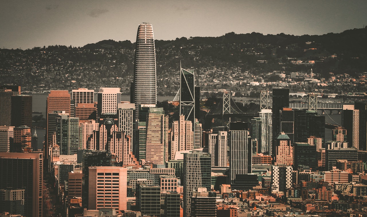 它不仅丰富 它不仅丰富