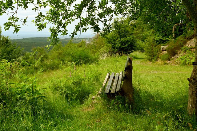 核心球員的 核心球員的